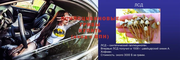 apvp Куйбышев